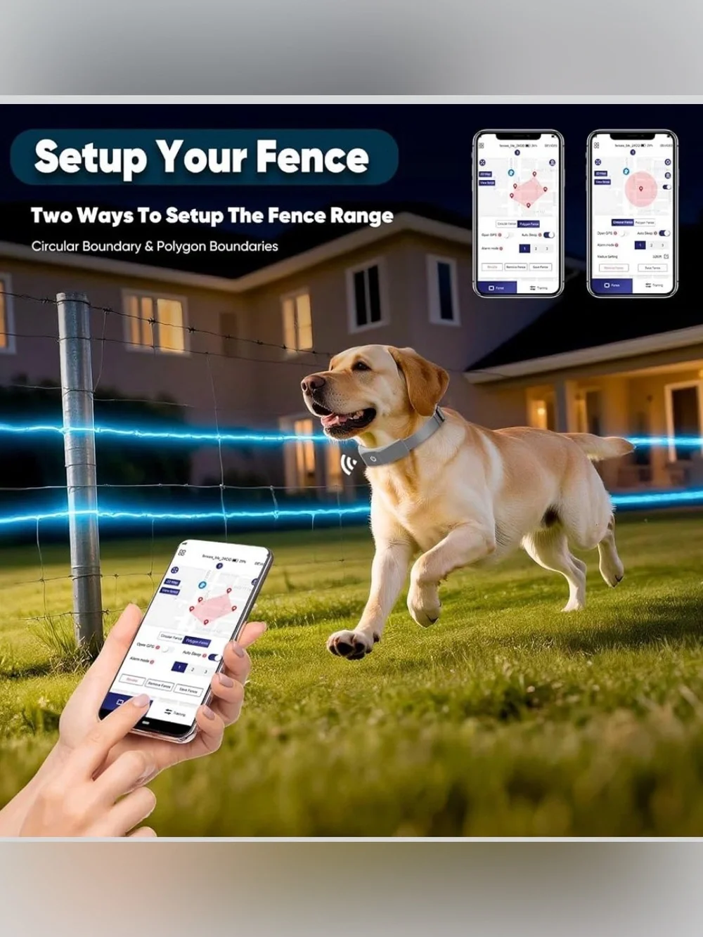 GeoPaws virtual more area